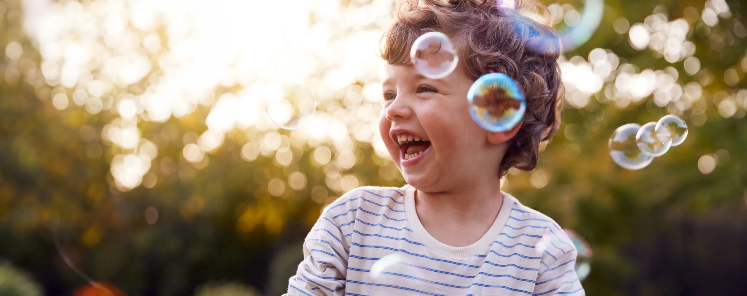 The whole world in a Bubble